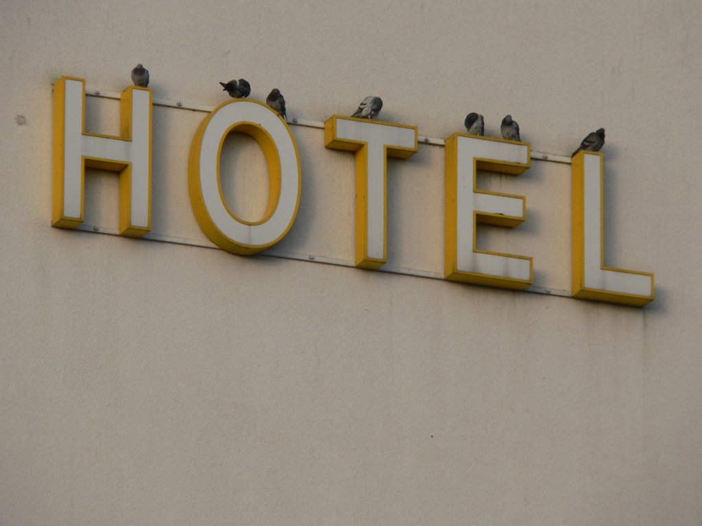 Hotel fr Tauben, gesehen in Norddeich Mole, 30.12.2012