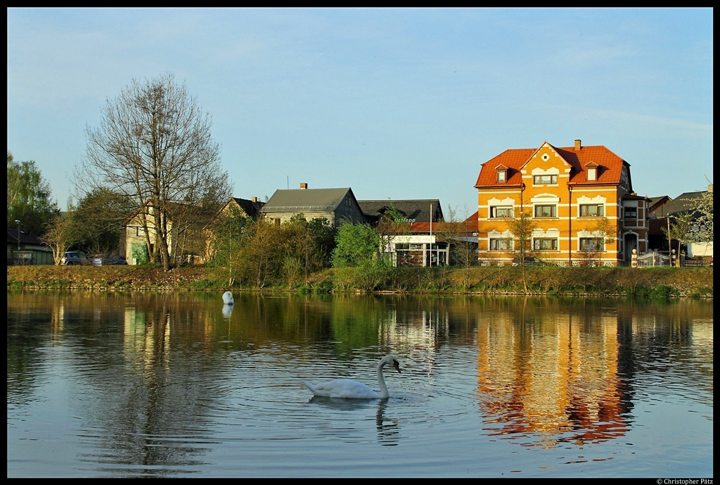 Im Abendlicht schwimmen zwei Schwne auf der Saale nahe dem Zeiss-Wehr. (Saalfeld, 28.04.2012)