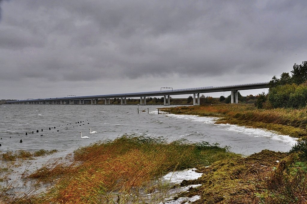 im Sommer ldt der  Schwemmi ; ein Teil vom Dnholm vor Stralsund wird so genannt; ja viele Kurzentschlossene zum Baden ein, auch wenn die Badehose mal vergessen wurde, aber am 15.10.09 htte das Flatterhemd und der Tauchsieder seine Freude gehabt, es war recht ungemtlich