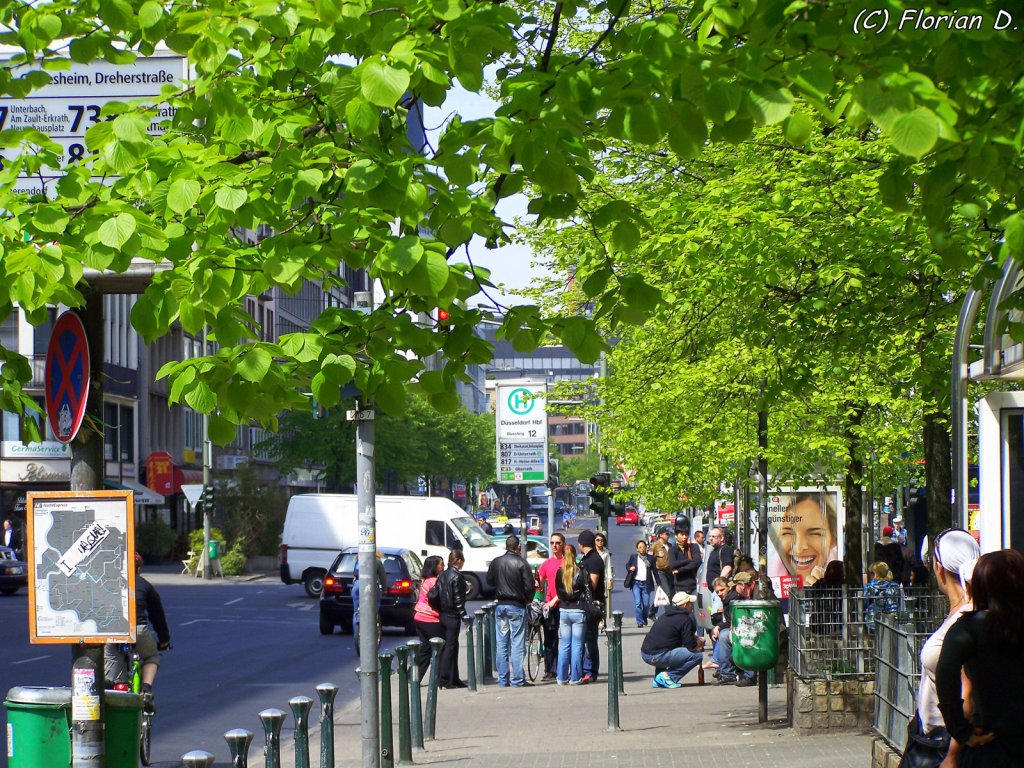 Impressionen unter den blhenden Bumen an der Bismarckstrae Dsseldorf am 24.04.2010