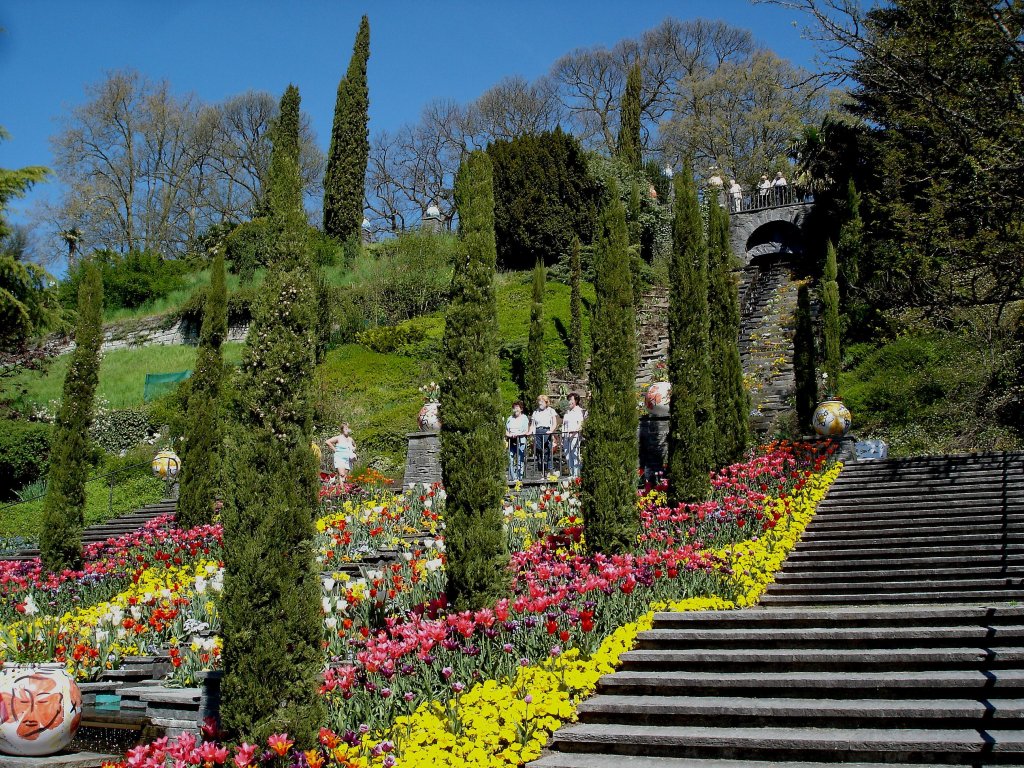 Insel Mainau, die Blumenteppe, April 2007