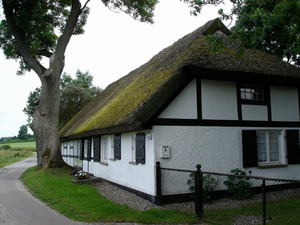 Insel Rgen, typisch schilfgedecktes Fachwerkhaus, Juli 2006 