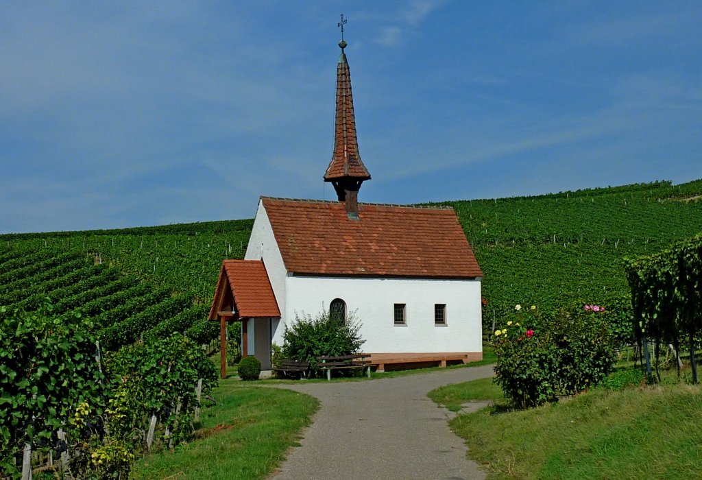 Jechtingen am Kaiserstuhl, Kapelle in den Weinbergen, Okt.2012