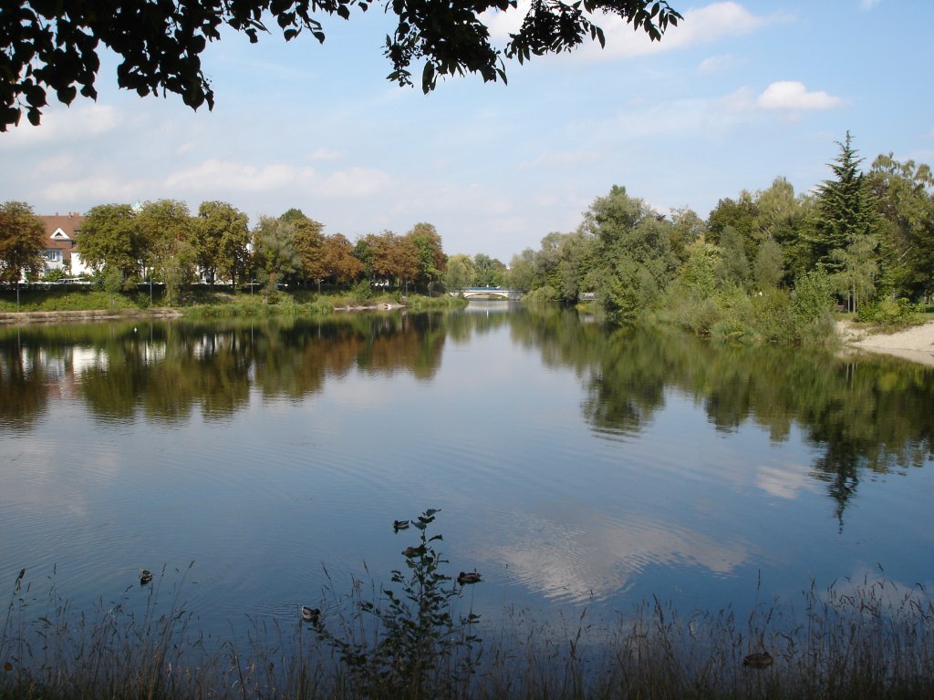 Kehl am Rhein/Baden,
ein Stck vom Altrhein,
Sept.2006