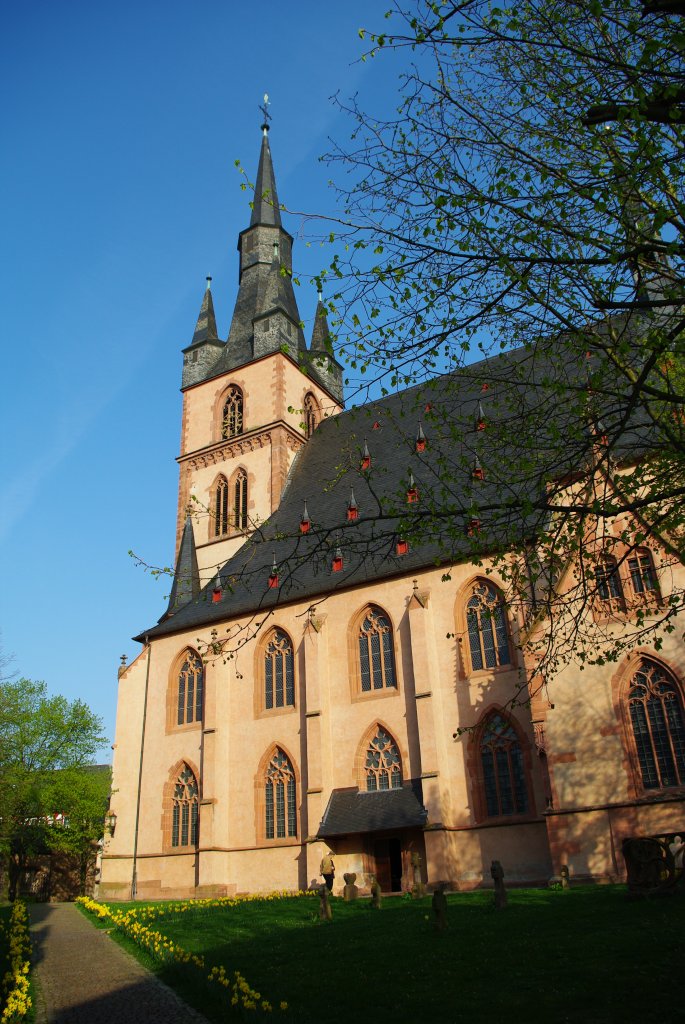 Kiedrich, St. Valentinus Kirche, erbaut ab 1380 (10.04.2009)