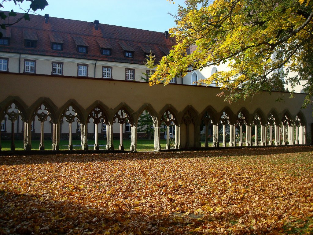 Kirchberg, Reste des Klosterkreuzganges, Okt.2010