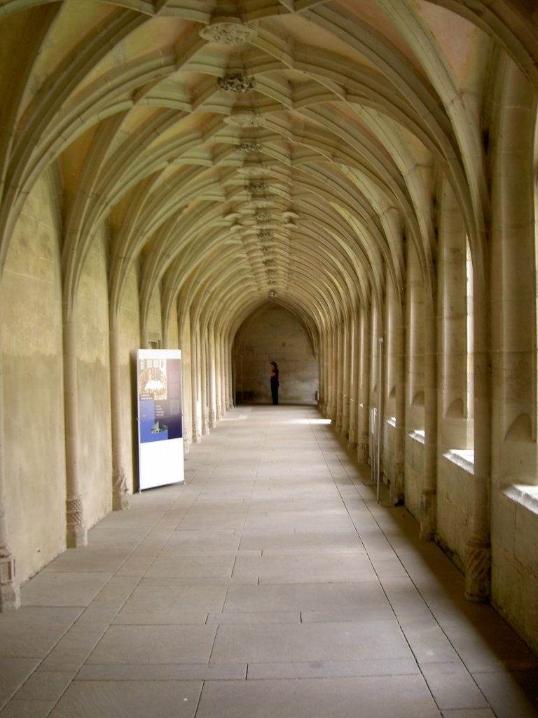 Kloster Bebenhausen, gotischer Kreuzgang (03.08.2008)