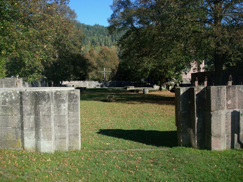 Kloster Hirsau, vom Eingang vorn bis zum Kreuz und den Seitenmauern links und rechts erstreckte sich einst der mchtige Bau der romanischen Klosterkirche St.Peter und Paul, eingeweiht 1091! Ruine seit der sinnlosen Zerstrung 1692 durch General Malbec, Okt.2010