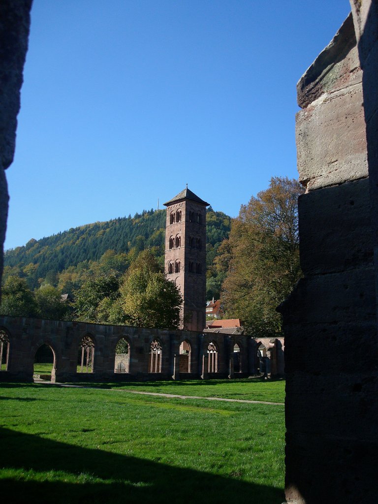 Kloster Hirsau, z.Z.des Aufbaus im 11.Jahrhunder das grte Kloster im deutschsprachigem Raum, Blick ber Teile des Kreuzganges zum erhaltenen Turm der ehemaligen Klosterkirche, Okt.2010