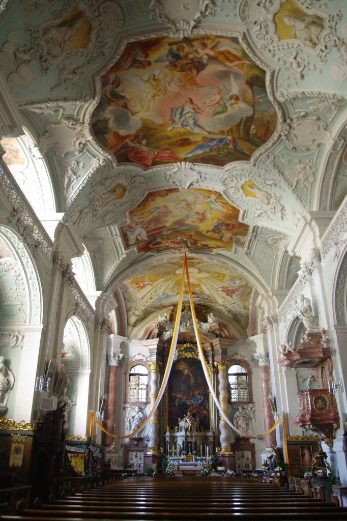 Klosterkirche Michelfeld, sptbarocke Ausstattung durch Gebrder Asam (21.04.2012)