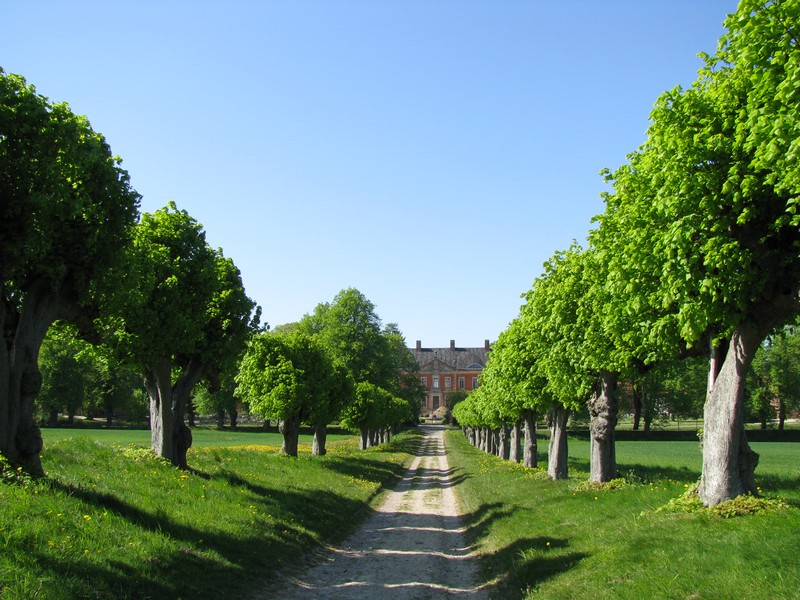 Kltz [NWM], Blick durch die 250 Jahre alte Feston-Allee zum grten Barockschlo des landes Mecklenburg-vorpommern, Kltz 08.05.2011