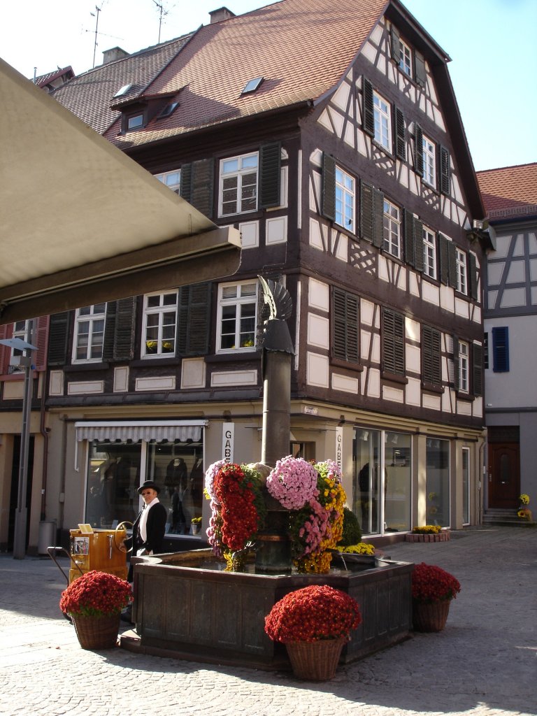 Lahr/Schwarzwald, Brunnen am alten Rathaus mit 
Blumenschmuck zur  Chrysanthema 