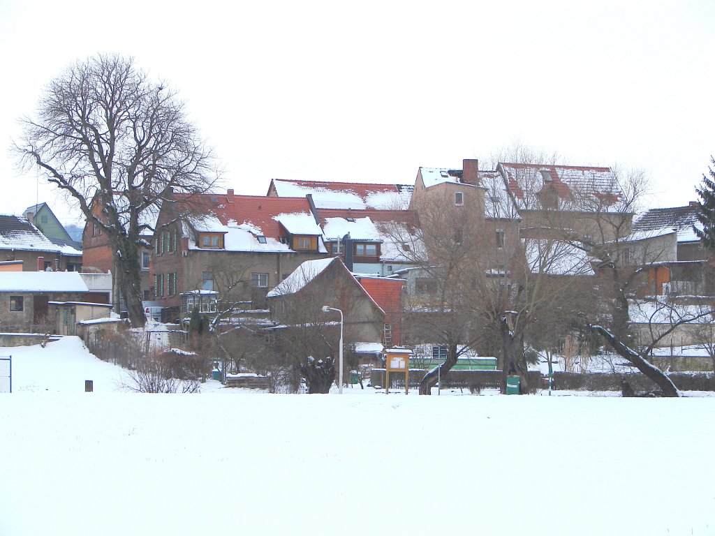 Laucha an der Unstrut - Blick auf die Huser am Siedegarten - 17.01.2010