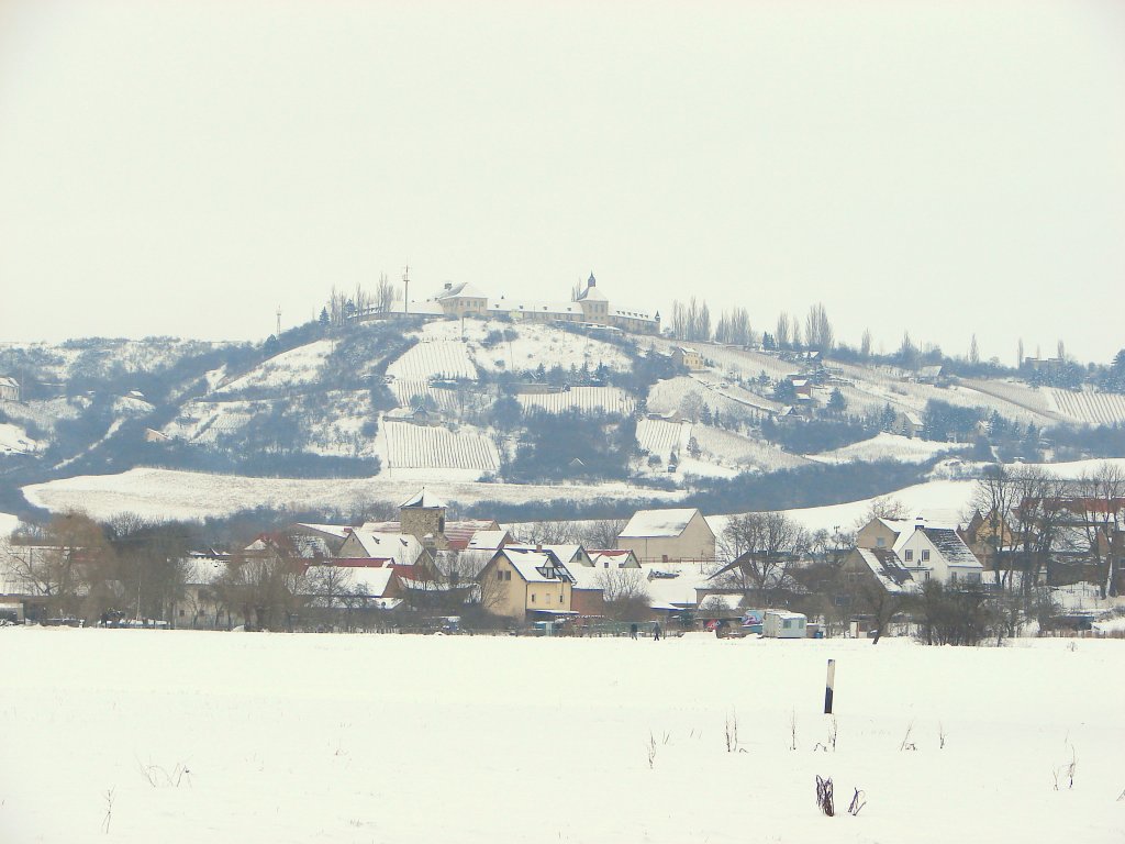 Laucha an der Unstrut - Blick zum Fliegerhorst - vorn die Huser vom Ortsteil Dorndorf - 17.01.2010 
