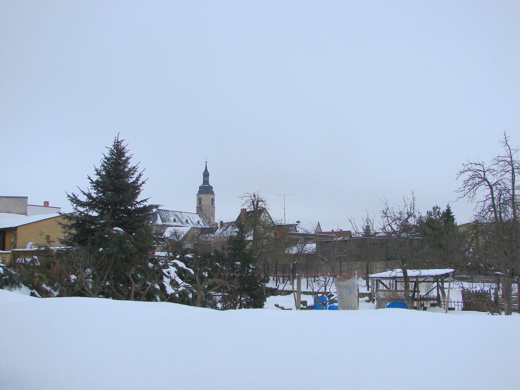 Laucha an der Unstrut - Blick ber die Unstrutgrten zur Kirche - 17.01.2010 
