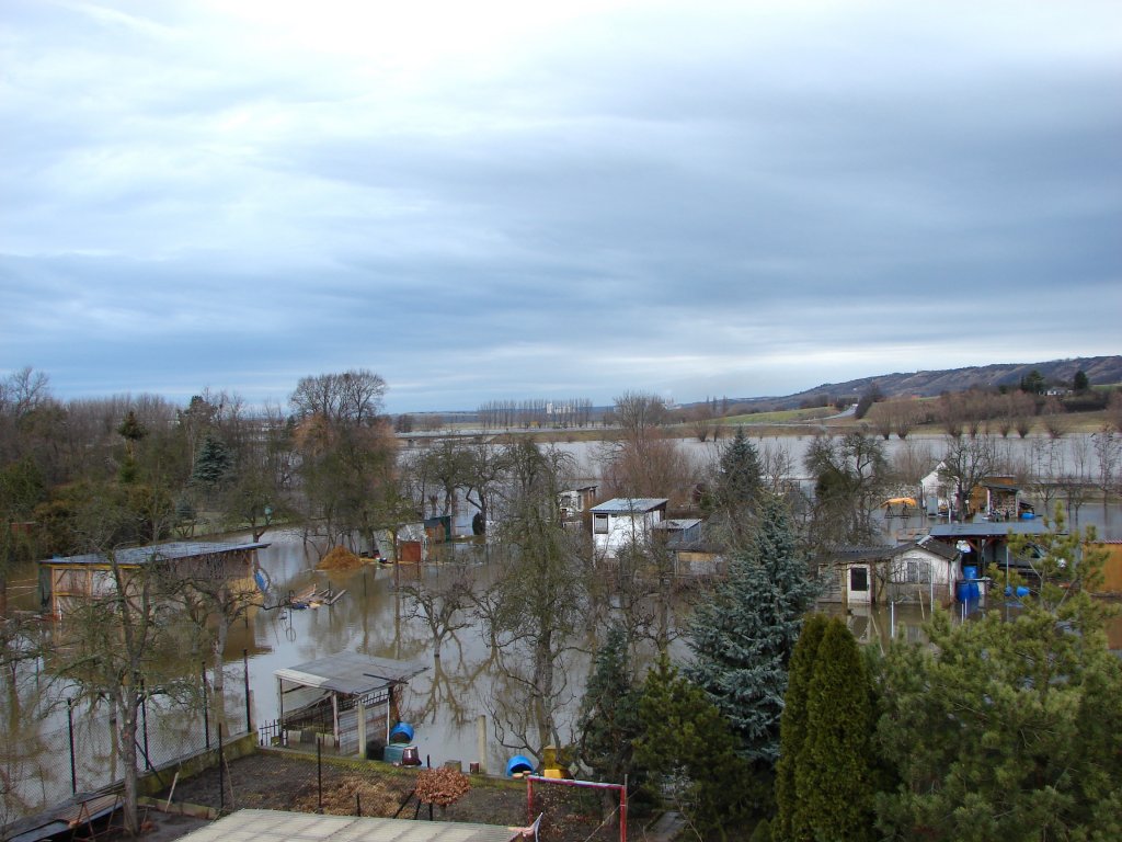 Laucha an der Unstrut - Blick auf die Grten - das Hochwasser steigt - 28.02.2010