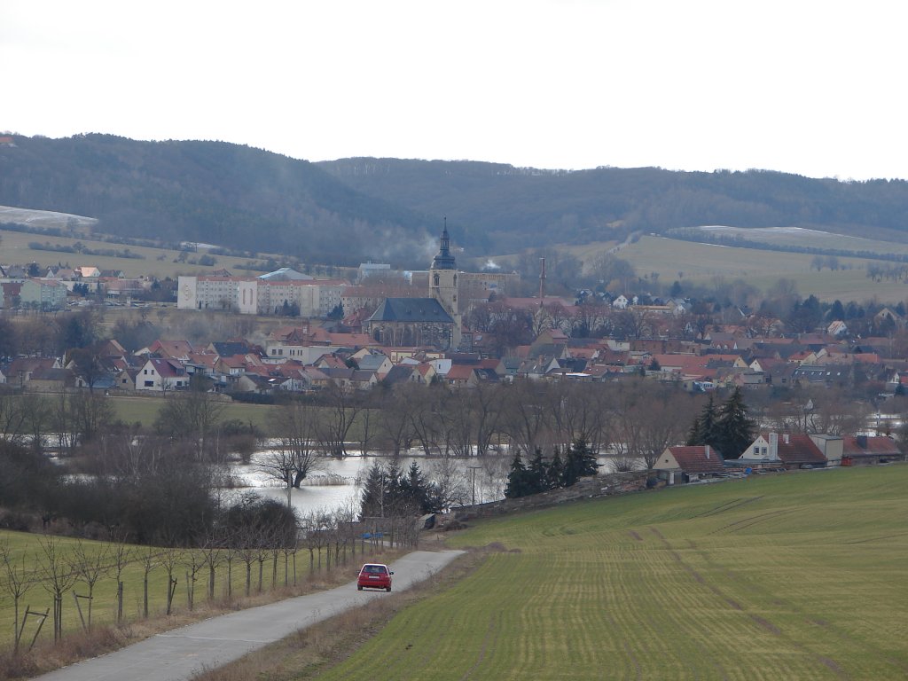 Laucha an der Unstrut - Blick von den Weinbergen im Rappental ber das Hochwasser - 05.03.2010 
