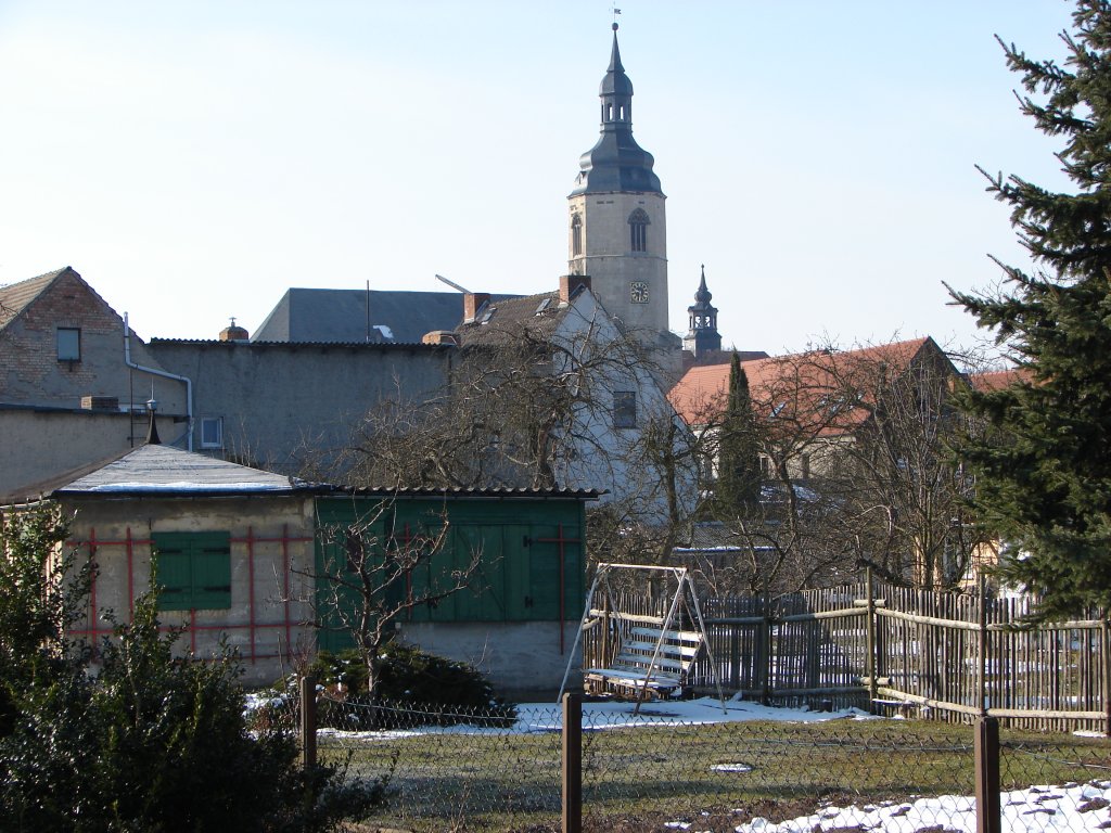 Laucha an der Unstrut - Blick durch die Grten an der Unstrut zur Kirche - 10.03.2010