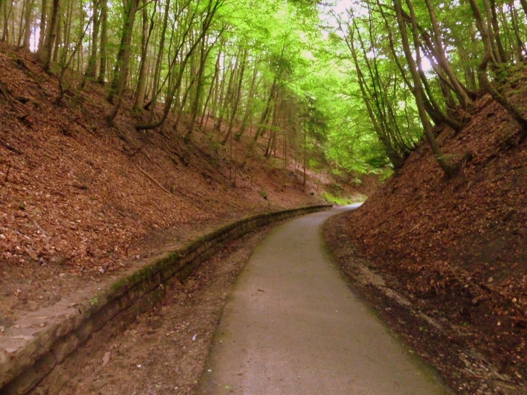 Luxemburg, zwischen Bech und Wolper, Radweg PC 2 Luxemburg-Echternach auf der Trasse der Schmalspurbahn  Charly  von Luxemburg nach Echternach. 30.06.2012