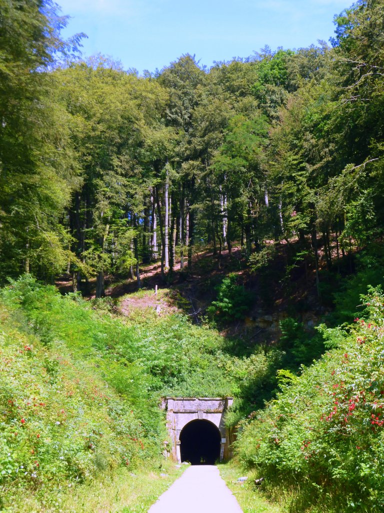 Luxemburg, zwischen Eischen und Hovelange,  Attert  Radweg PC 12 Ptange - Colmar-Berg (-Ettelbruck). Sdeinfahrt des Tunnels nrdlich von Eischen. Der Radweg benutzt grtenteils die Trasse der Prinz-Heinrich-Bahn  Attert  (Normalspurbahn) von Ptange-Steinfort (18km am 1.8.1873 erffnet) und Steinfort-Ettelbruck (34 km am 20.04.1880 erffnet). 03.07.2011
