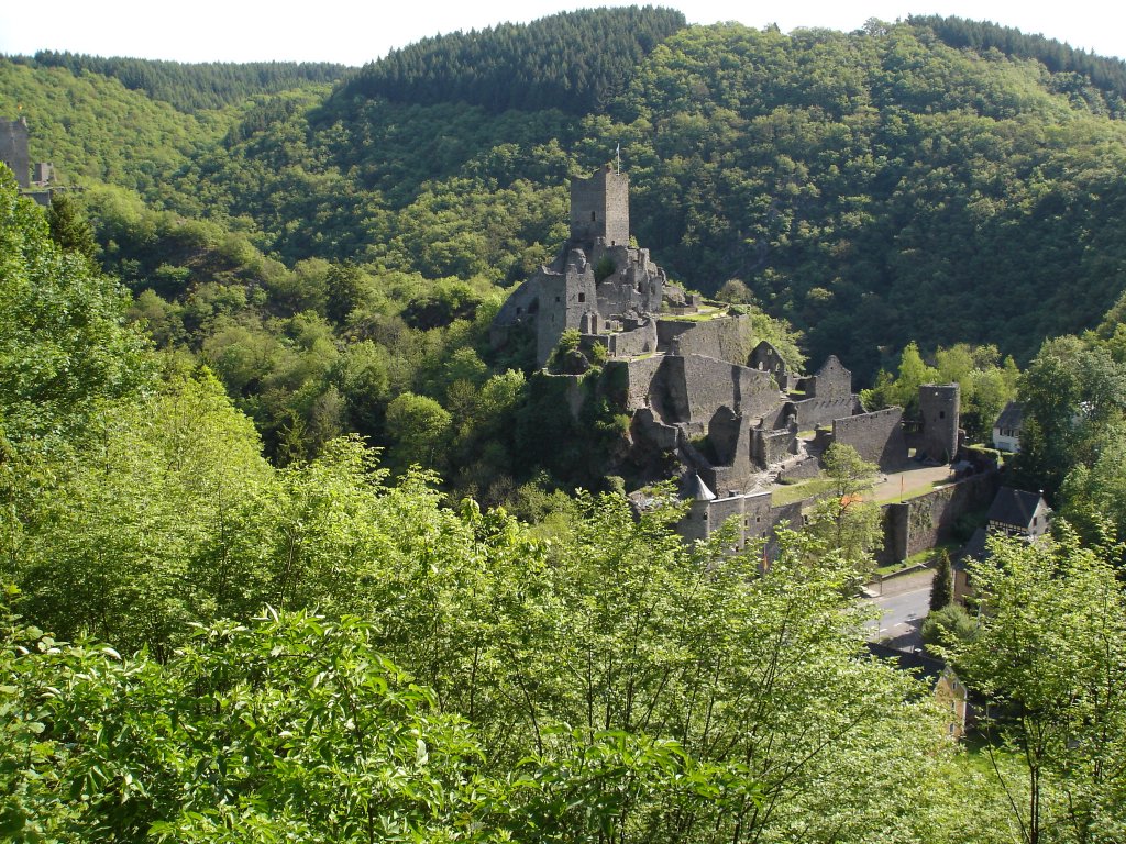 Manderscheid in der Eifel,
die Ruine der Niederburg,
Mai 2005