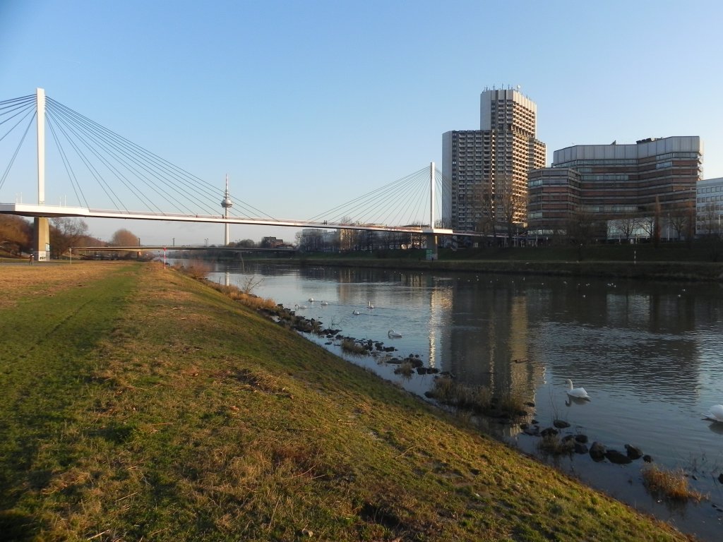 Neckarpromenade am Collini-Center in Mannheim, 15.01.2012. 