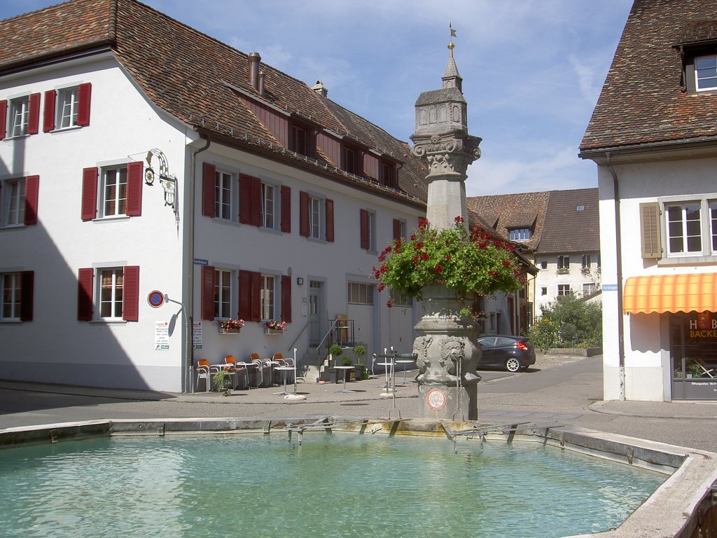 Neunkirch, Brunnen am Sidehof, Kanton Schaffhausen (11.09.2011)