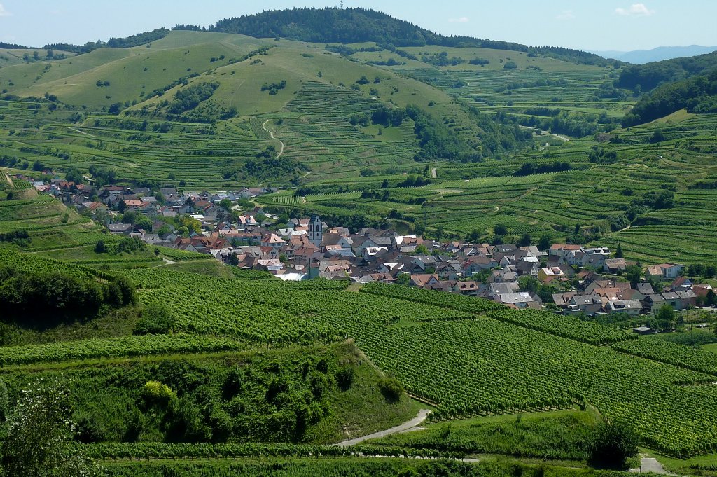 Oberbergen im Kaiserstuhl, der etwa 1000 Einwohner zhlende bekannte Winzerort wurde 972 urkundlich das 1.Mal erwhnt, Juli 2011