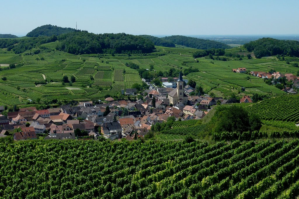 Oberrotweil im Kaiserstuhl, der bekannte Winzerort mit heute ca.1600 Einwohnern wurde 972 erstmals urkundlich erwhnt, Juli 2011