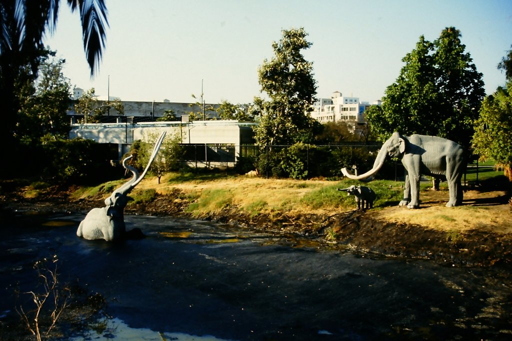 Pechsee am George C Page Museum in Los Angeles am 21. Juni 1987.