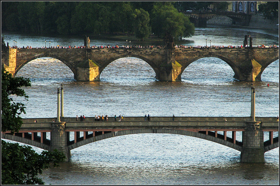 Prager Brcken: In der Mitte die berhmte Karlsbrcke. 09.08.2010 (Jonas)