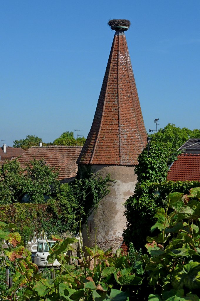 Rappoltsweiler, der Storchenturm, Teil der Stadtbefestigung aus dem Mittelalter, Sept.2011 