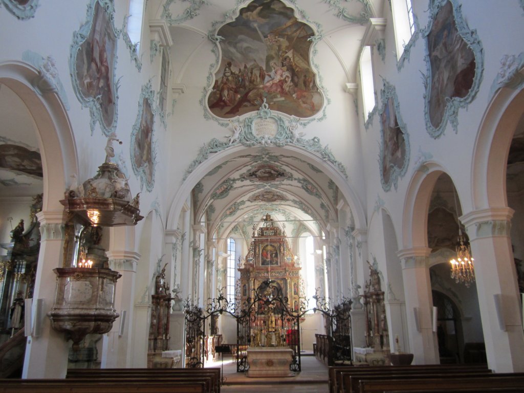 Rheinfelden, Barockausstattung des Langschiffes der St. Martin Kirche, Stuck von Johann Martin Frwis (26.08.2012)