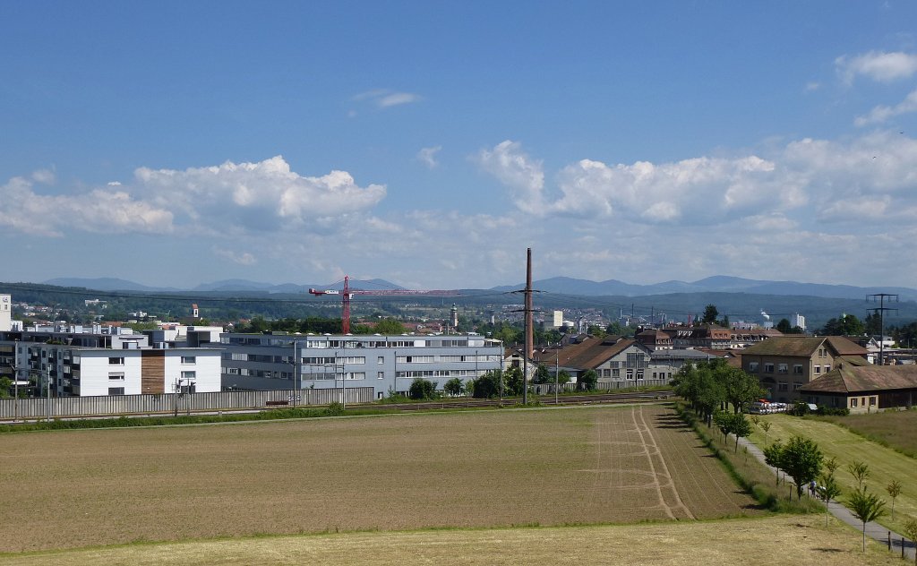 Rheinfelden, Blick von der Feldschlchen-Brauerei ber die Stadt, im Hintergrund der Schwarzwald, Juni2013