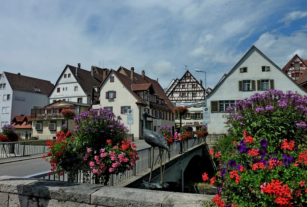 Riedlingen, Blick ber die Donaubrcke zur Altstadt, Aug.2012