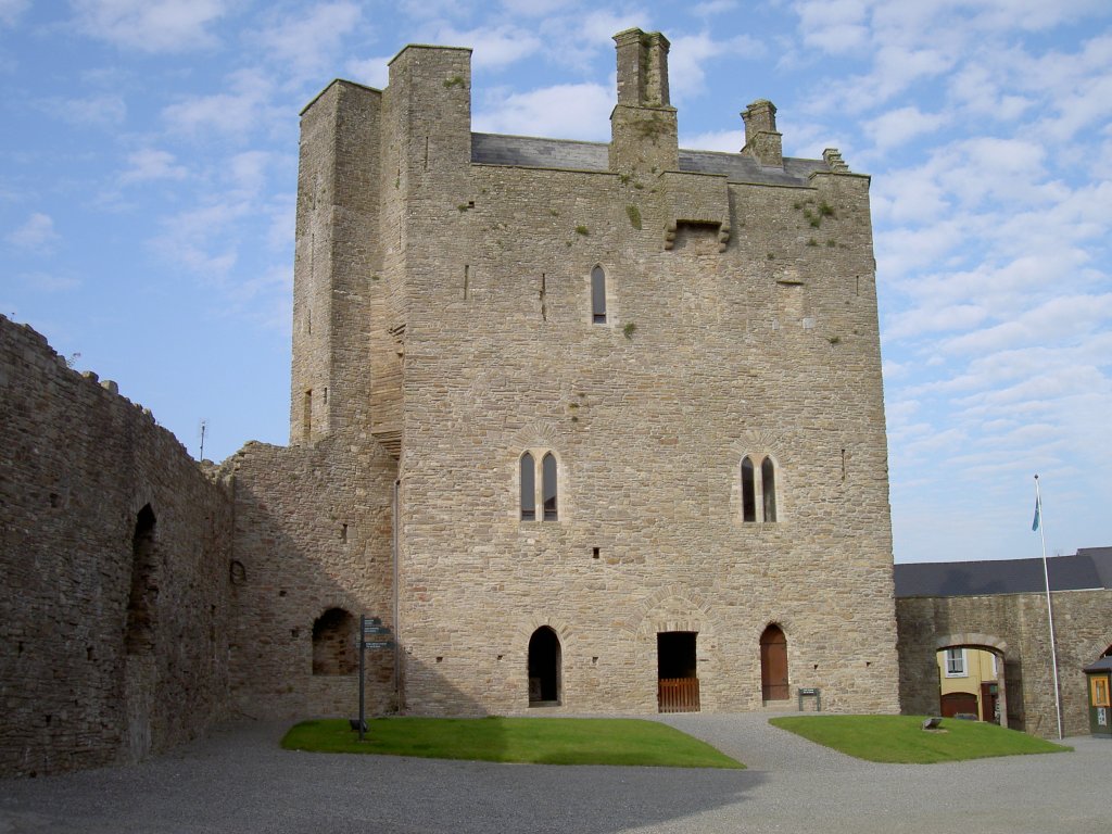 Roscrea Castle, Grafschaft Tipperary (13.10.2007)