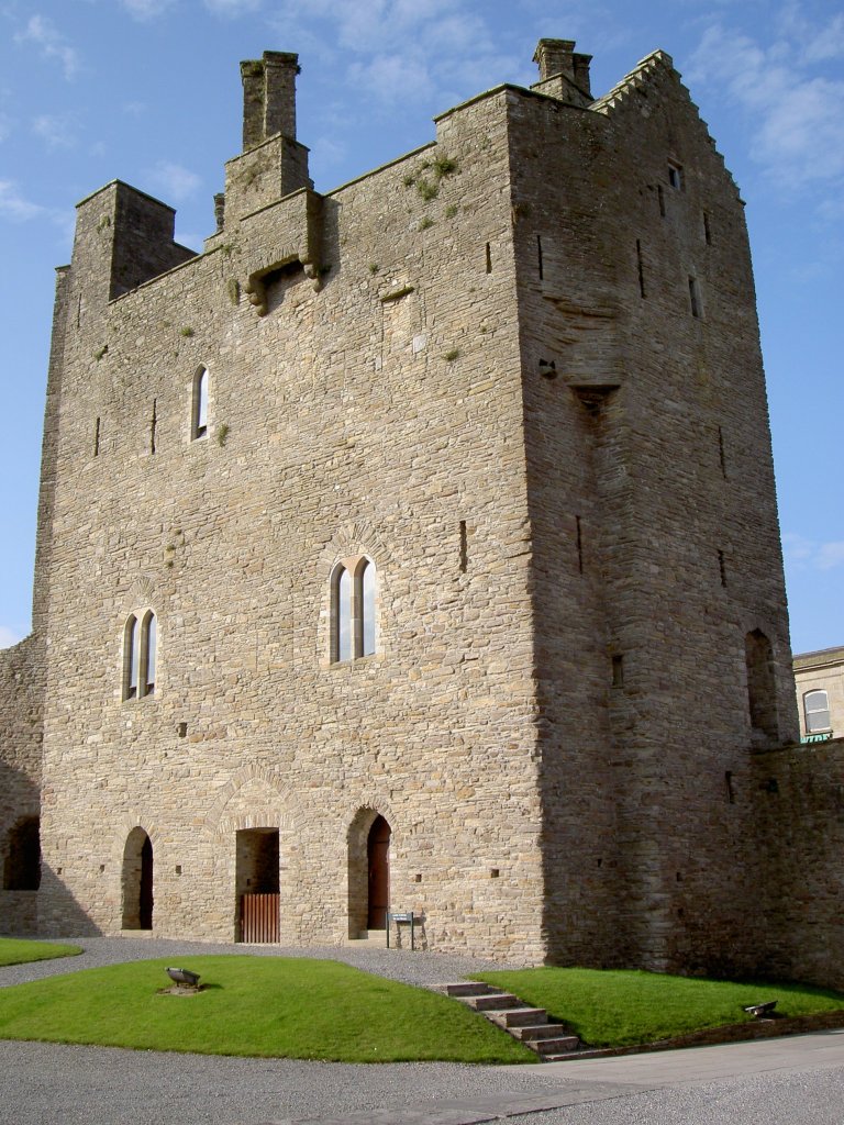 Roscrea Castle, Grafschaft Tipperary (13.10.2007)