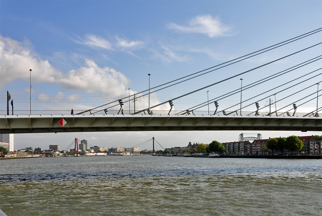 Rotterdam - vorne Erasmusbrug und im Hintergrund die Wilemsbrug II - 15.09.2012