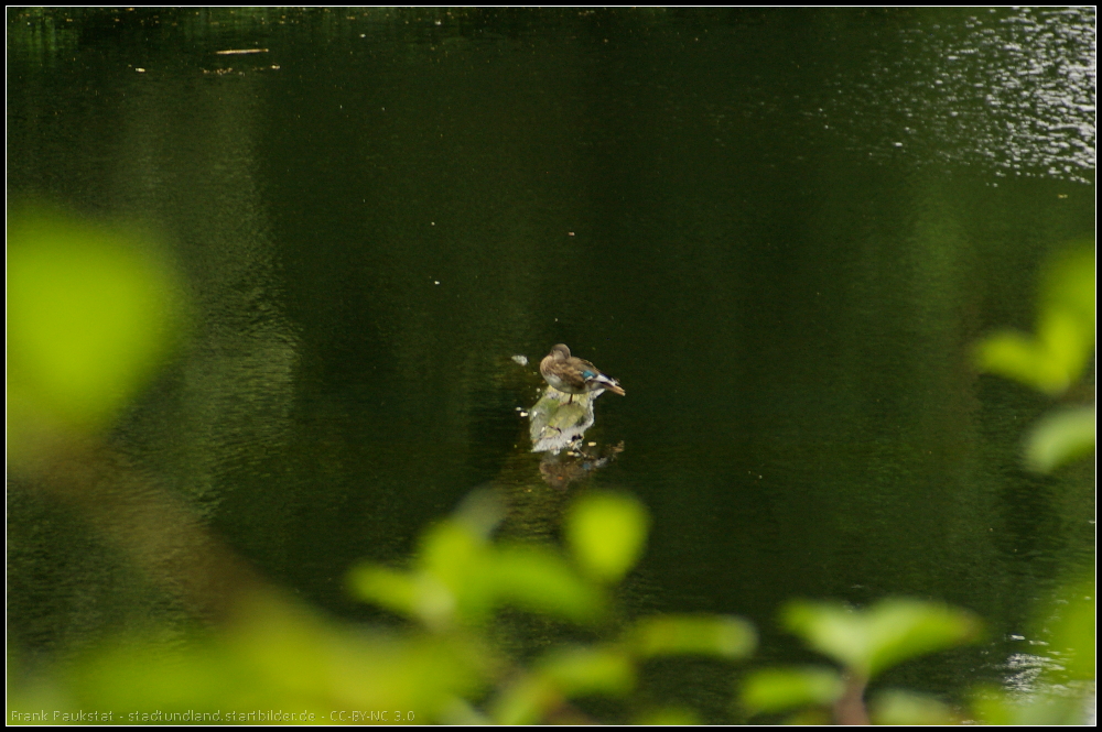 Ruhe im Groen Tiergarten (Berlin-Tiergarten 29.06.2013 beim G+ 2 Annivesary Photowalk Berlin, Germany)