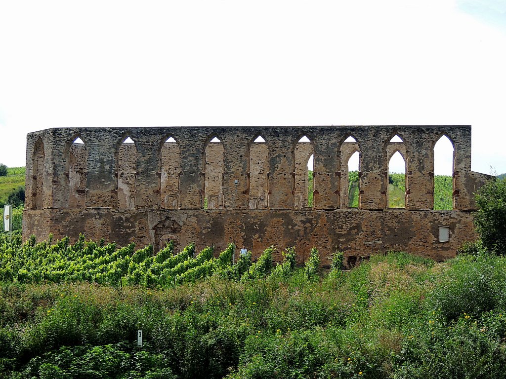 Ruine des Nonnenklosters Stuben bei Bremm/Mosel war dem Hl. Nikolaus geweiht, und wird seit 1927 laufend saniert; 120823