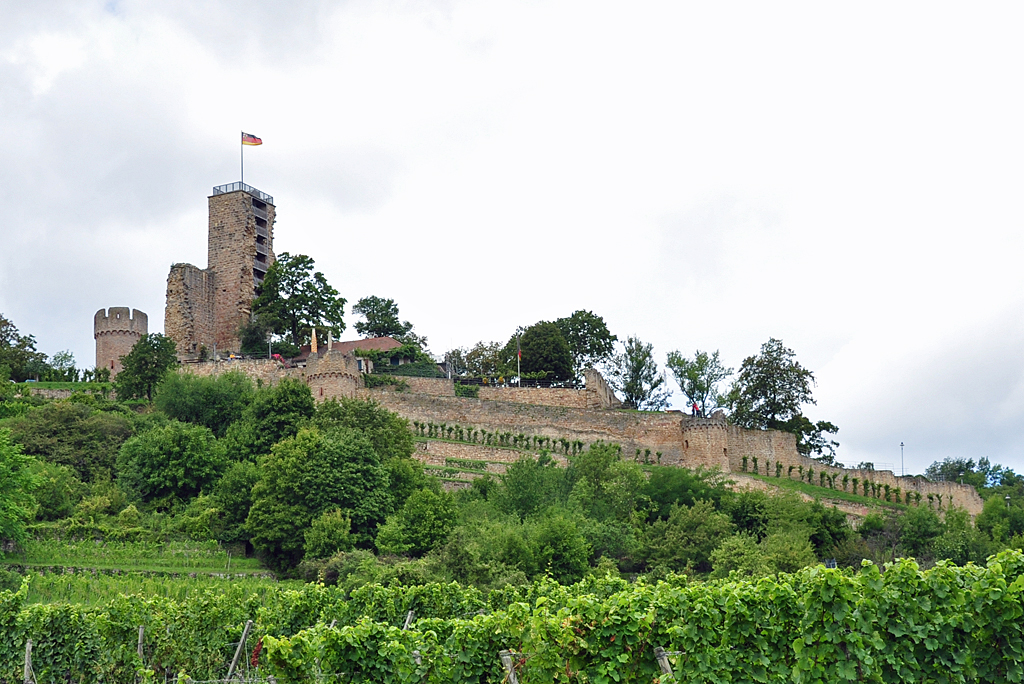 Ruine Wachtenberg an der Deutschen Weinstrae zwischen Neustadt und Bad Drkheim - 05.09.2011