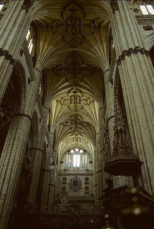 Salamanca, Catedral Nueva de la Asuncin de la Virgen. Mittelschiff mit Netzgewlben, hauptschlich sptgotischer Bau (Turm Barock, Vierungskuppel Rokoko), 1513-1733. Wand an Wand zur Catedral Vieja. Aufnahme von Aug. 1994, HQ-Scan ab Dia.