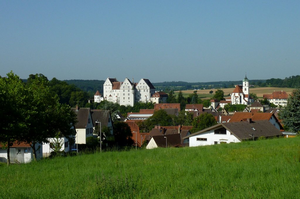 Scheer an der Donau, Blick auf das Schlo und die Kirche hoch ber der Altstadt, Aug.2012