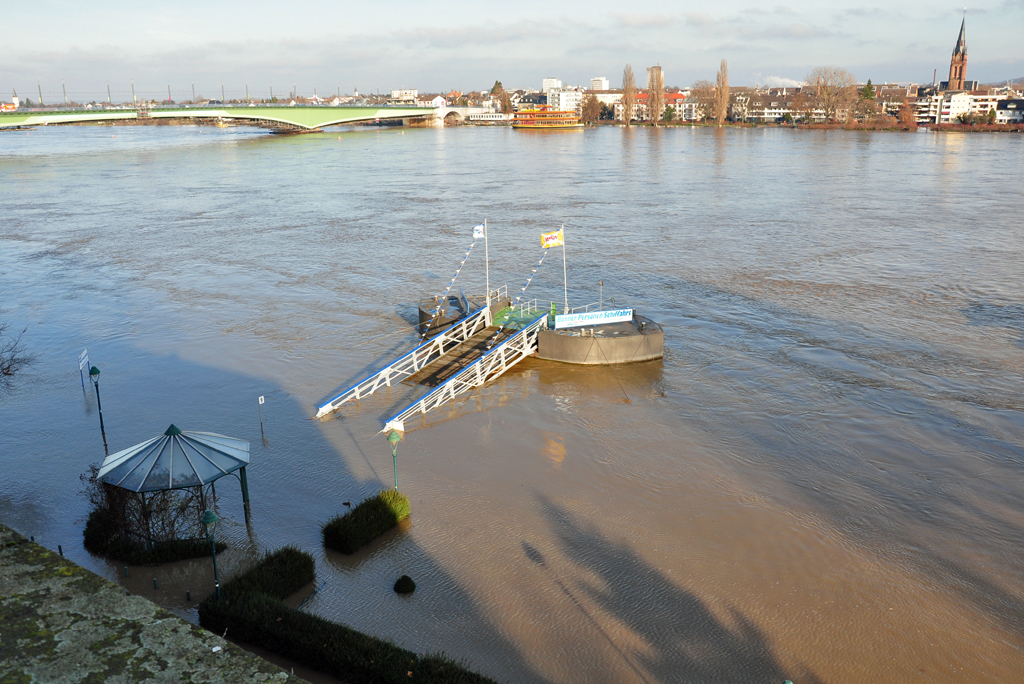 Schiffsanlegestelle am Brassertufer unter Wasser. Im Hintergrund die Kennedybrcke und rechts Bonn-Beuel - 10.01.2011