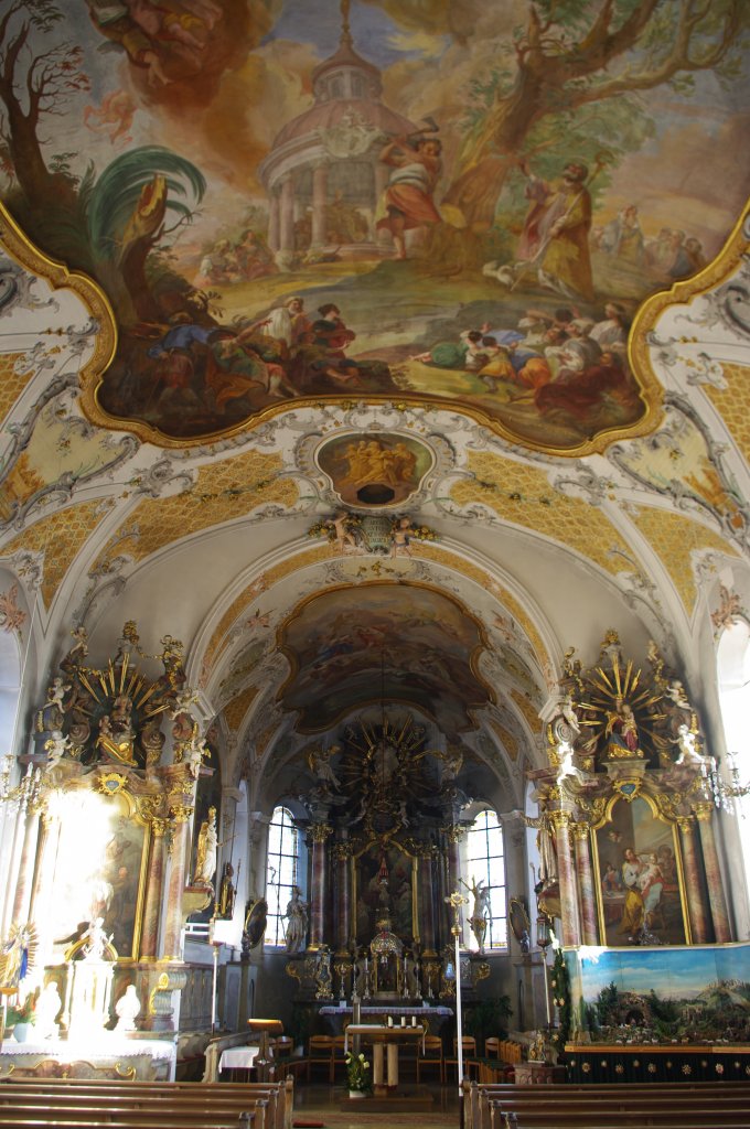 Schlingen, St. Martin Kirche, Altre von Felix Frhlich aus dem Jahr 1763,
Kreis Unterallgu (15.01.2012)