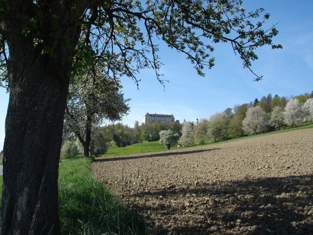 Schlo Heiligenberg im gleichnamigen Ort,
von dort oben hat man einen herrlichen Blick auf Bodensee und Alpen,
April 2007