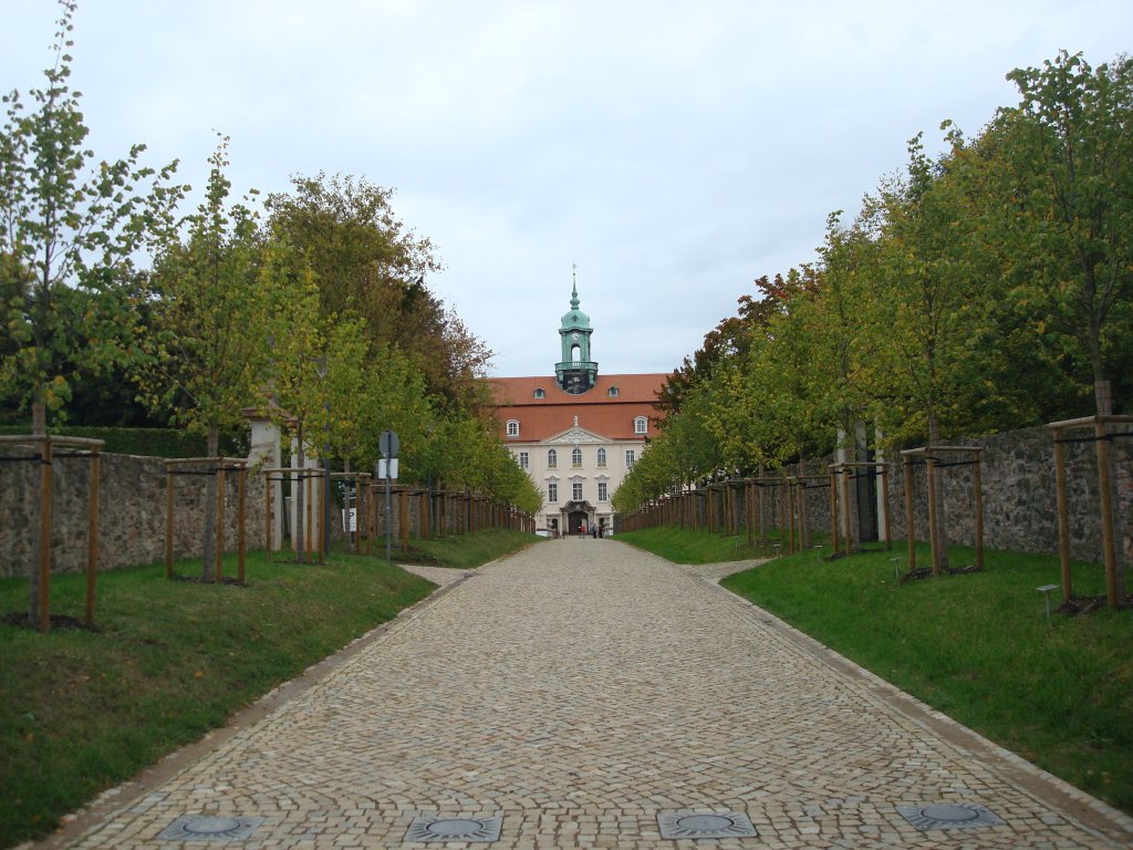 Schlo Lichtenwalde bei Chemnitz,
neugepflanzte Lindenallee zum Schloeingang,
Okt.2009