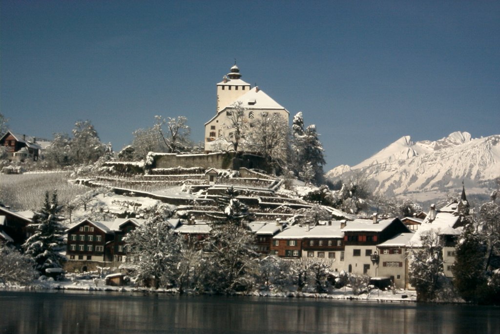Schloss Werdenberg im Kanto St. Gallen. Winter 2008.