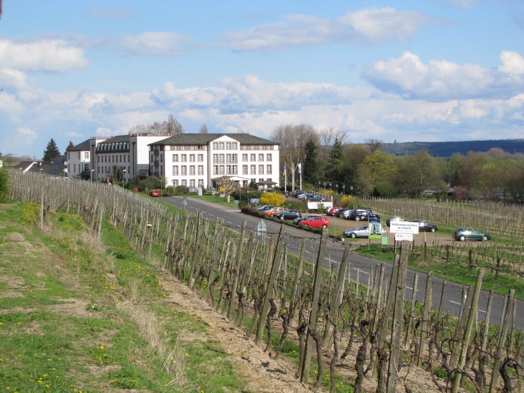 Schlosshotel Reinhardtshausen in Erbach (Rheingau); 11.04.2010