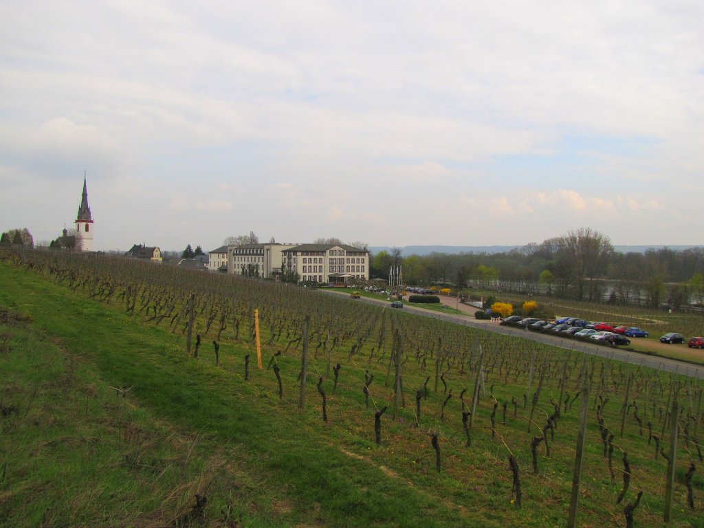 Schlosshotel Reinhartshausen in Erbach (Rheingau); 30.03.2011